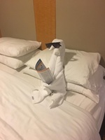 Towel Animals
